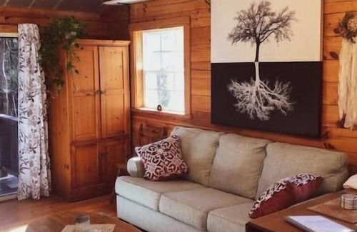Mills River Cabin | Hideaway Cabin in the Woods- Pond, Trails & Nature