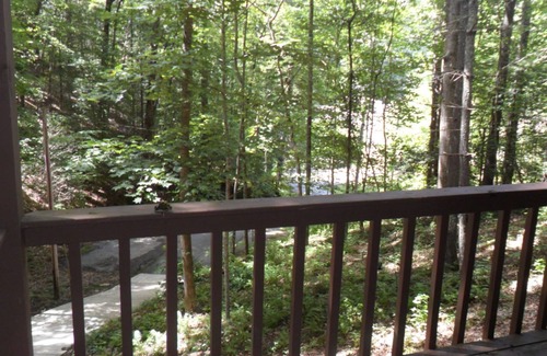 Unaka Ski Chalet | Hideaway Chalet at Lake Hiwassee Bear Paw