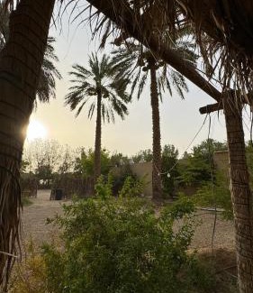 Al Kharj House | High garden