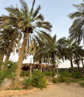 Al Kharj House | High garden
