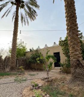 Al Kharj House | High garden