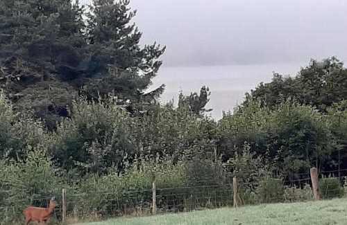 Balnain Bed & Breakfast | High March