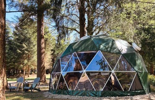Hockai Other | High Moor Glamping