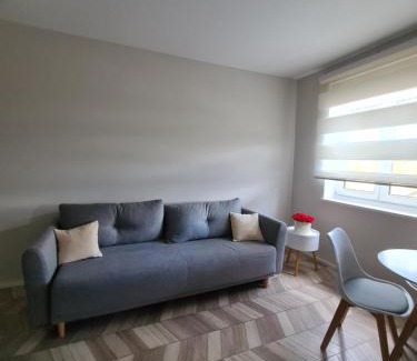 Hochfeld Apartment | Highfield 2 rooms Apartment