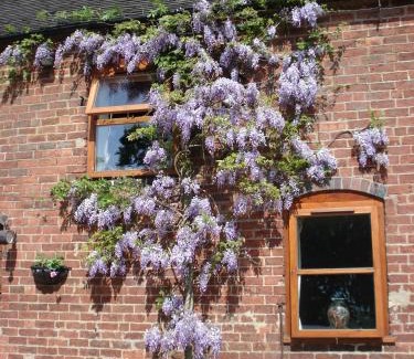 Stone House | Highfields Farm B&B
