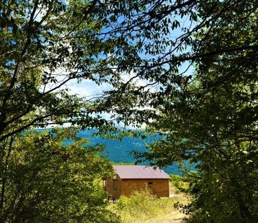 Ambrolauri House | Highland breeze - მთის ნიავი