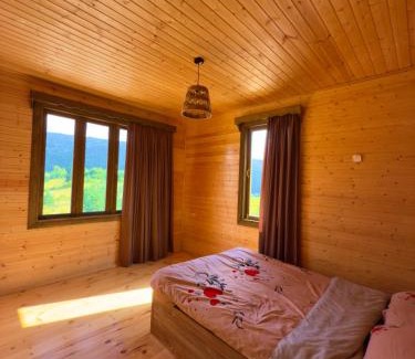 Ambrolauri House | Highland breeze - მთის ნიავი