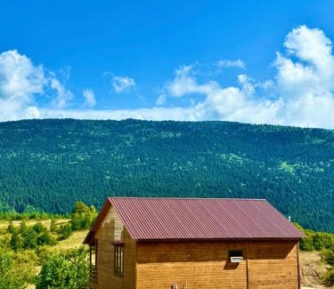 Ambrolauri House | Highland breeze - მთის ნიავი