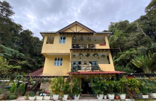 Tanah Rata House | Highlanders Garden Guesthouse at Arundina Cameron Highlands
