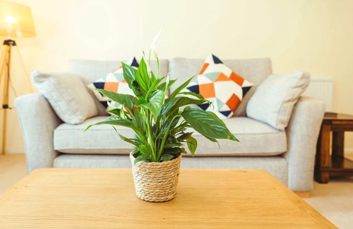 Meads Cottage | Hikers Hideaway close to South Downs