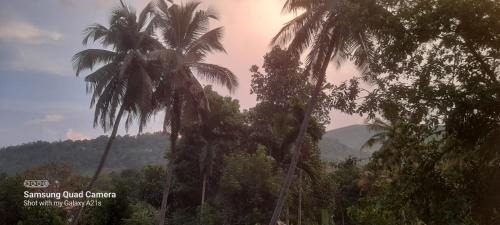 Sirimalwatta House | Hill tamarind villa
