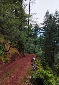 Dhirkot Hotel | Hill View Resort