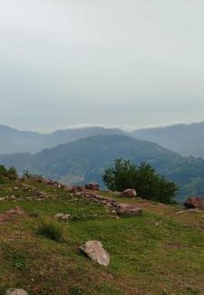 Dhirkot Hotel | Hill View Resort