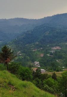 Dhirkot Hotel | Hill View Resort