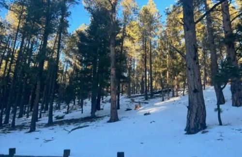 Angel Fire Cabin | Hillside Hideaway Cabin on two private acres