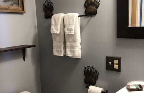 International Falls Cabin | Hilltop Lodge - Aspen -Queen Cabin