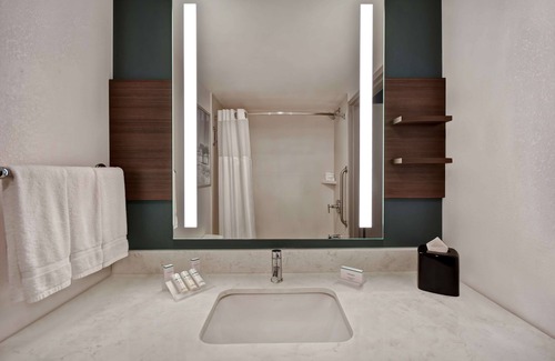 The Galleria Hotel | Hilton Garden Inn Houston/Galleria Area