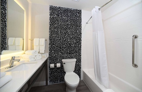 Jacksonville Hotel | Hilton Garden Inn Jacksonville