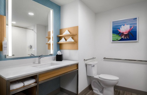 Florida Center North Hotel | Hilton Garden Inn Orlando I-4 Millenia Blvd Mall