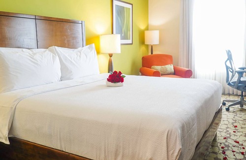 Panama City Hotel | Hilton Garden Inn Panama City Downtown, Panama