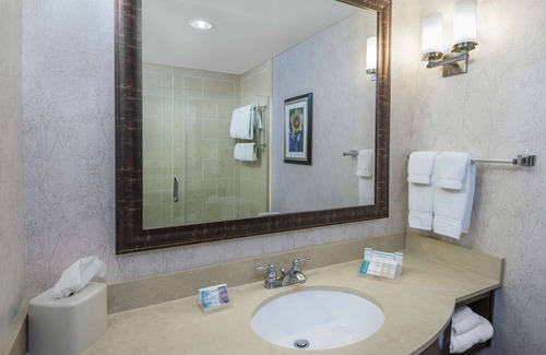 Far North Central Hotel | Hilton Garden Inn San Antonio At The Rim