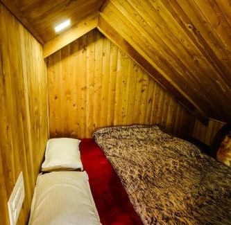 Banjar Ski Chalet | Himalayan Cedar Nest