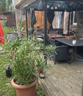 Nebra Apartment | Himmelsscheibe