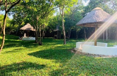 St. Lucia Resort | Hippo Head Resort