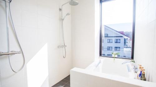 Hirafu Apartment | hirafu188