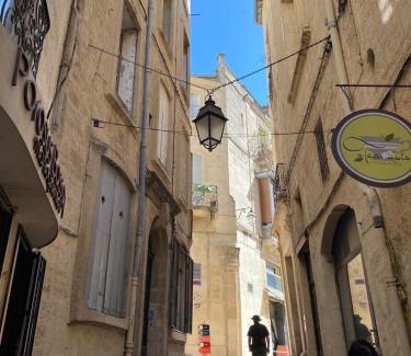 Montpellier City-Centre Apartment | Hirondelle de Montpellier