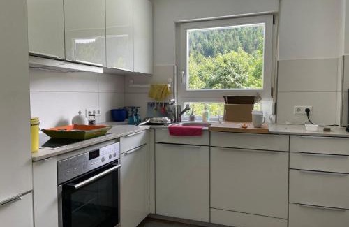 Ehlenbogen House | Hirschle