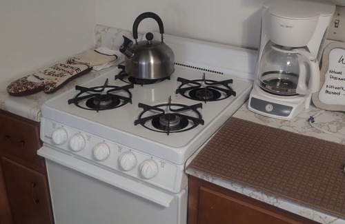 Benson Apartment | Historic Benson with WiFi, AC, projector, & 420 friendly
