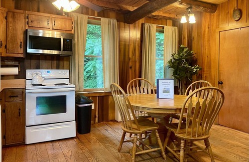 Hot Springs Cabin | Historic Cabin, Magical Setting in Hot Springs