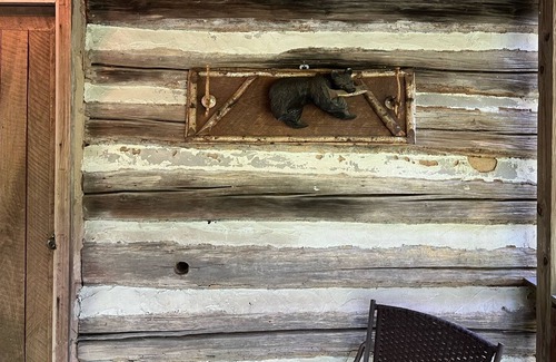 Johnson City Cabin | Historic Eclectic Cabin Near the Trophy Section of the Watauga River