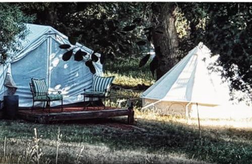 Pauma Valley Other | Historic Rustic Cabin with Spectacular Views
