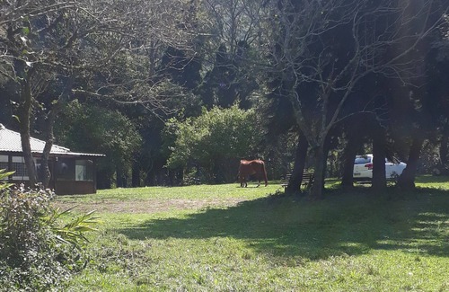 Muquem House | Historic site just minutes from beaches