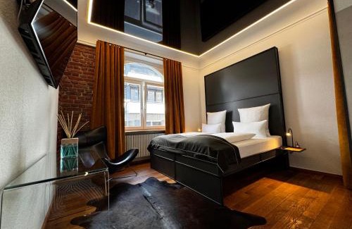 Freiburg im Breisgau Apartment | Historical Luxury Homes - Luxus Loft Wallstreet