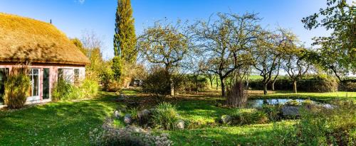 Renz Apartment | Hof Garz Wohnung Kräutergarten