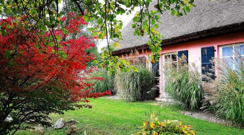 Renz Apartment | Hof Garz Wohnung Kräutergarten