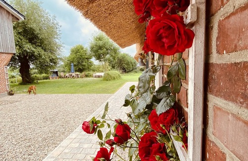 Stenderup House | Hof Goosend - Urlaub an der Schlei & Ostsee