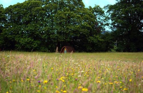 Bridport Other | Hogchester Meadow Pods