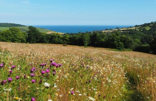 Bridport Other | Hogchester Meadow Pods