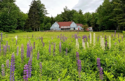 Franconia House | Holden Frost House