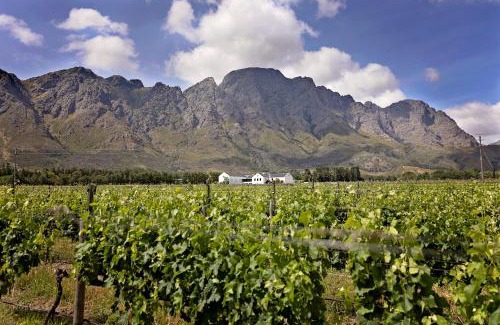Franschhoek House | Holden Manz Country House