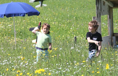 Oberjoch Apartment | Holiday apartment / app. for 5 guests with 30m² in Oberjoch (143889)