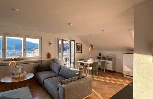 Frauenau Apartment | Holiday Apartment "Auerer Retreat" with Mountain View, Private Balconies and Wi-Fi