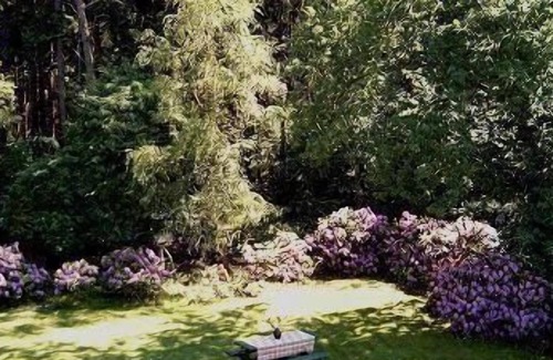 Muden Apartment | Holiday apartment Faßberg for 1 - 3 persons with 1 bedroom - Holiday apartment in one or multi-famil