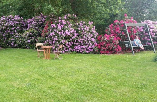 Muden Apartment | Holiday apartment Faßberg for 1 - 3 persons with 1 bedroom - Holiday apartment in one or multi-famil