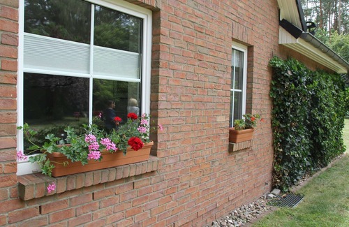 Muritz Apartment | Holiday apartment - "fish eagle's nest" in the Müritz National Park