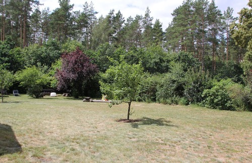 Muritz Apartment | Holiday apartment - "fish eagle's nest" in the Müritz National Park